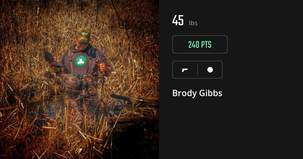 Miscellaneous harvest on Gametiks