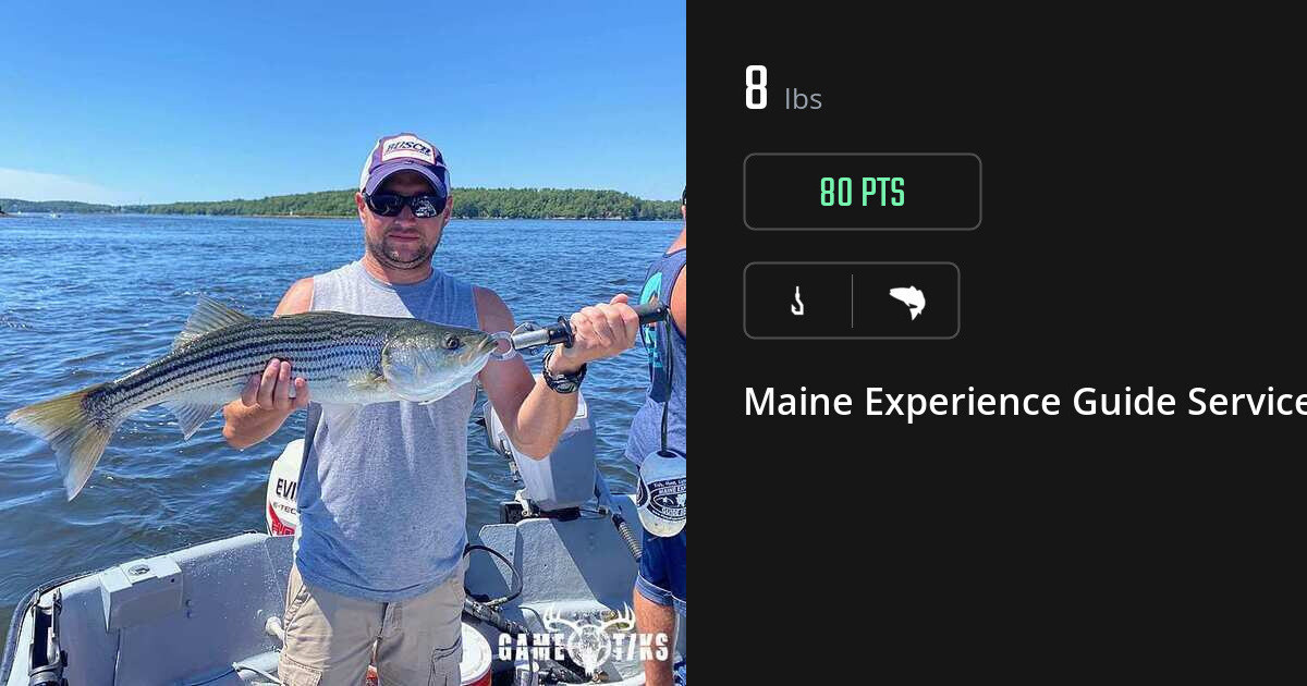Saltwater fish harvest on Gametiks