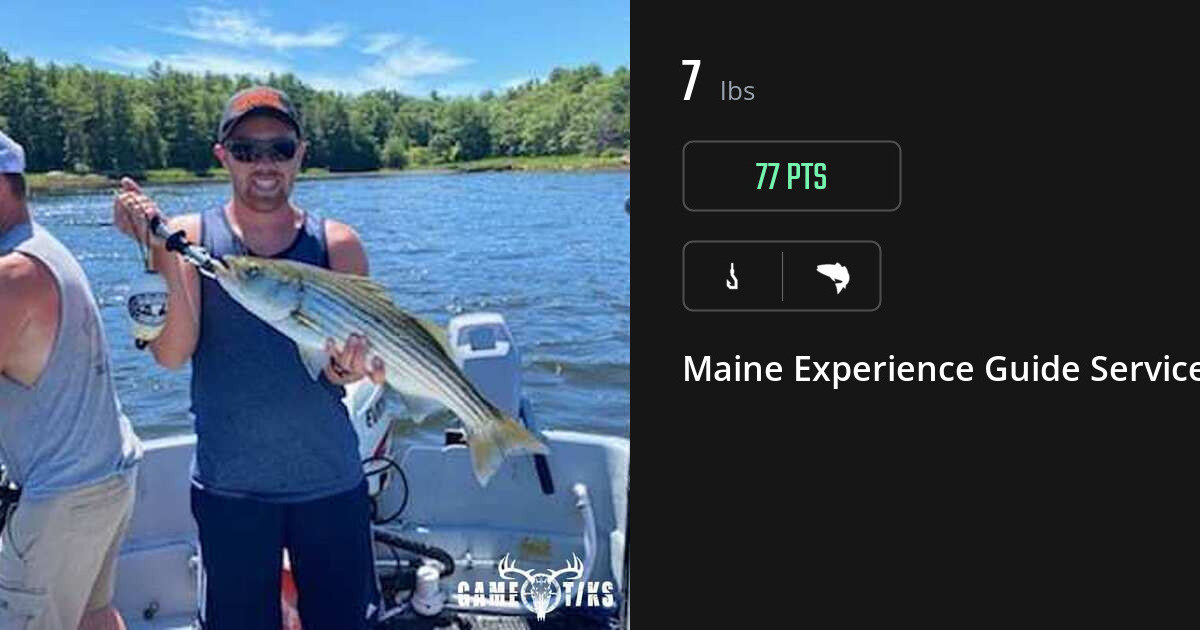Saltwater fish harvest on Gametiks
