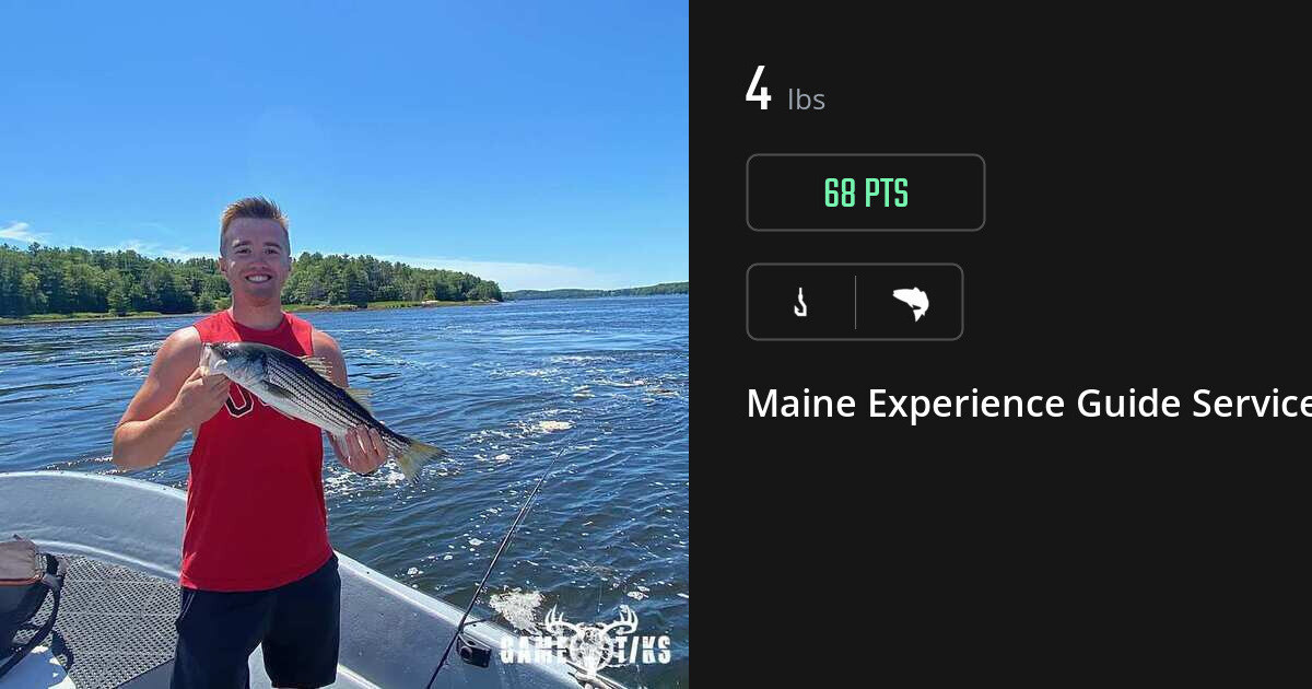 Saltwater fish harvest on Gametiks