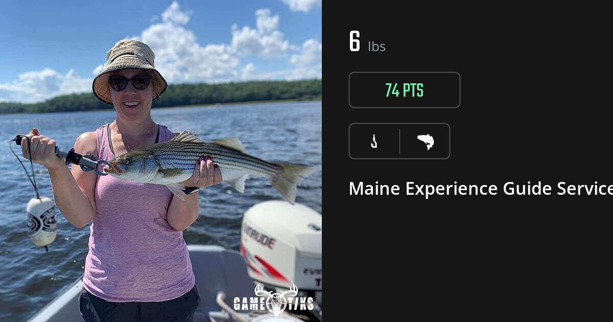 Saltwater fish harvest on Gametiks