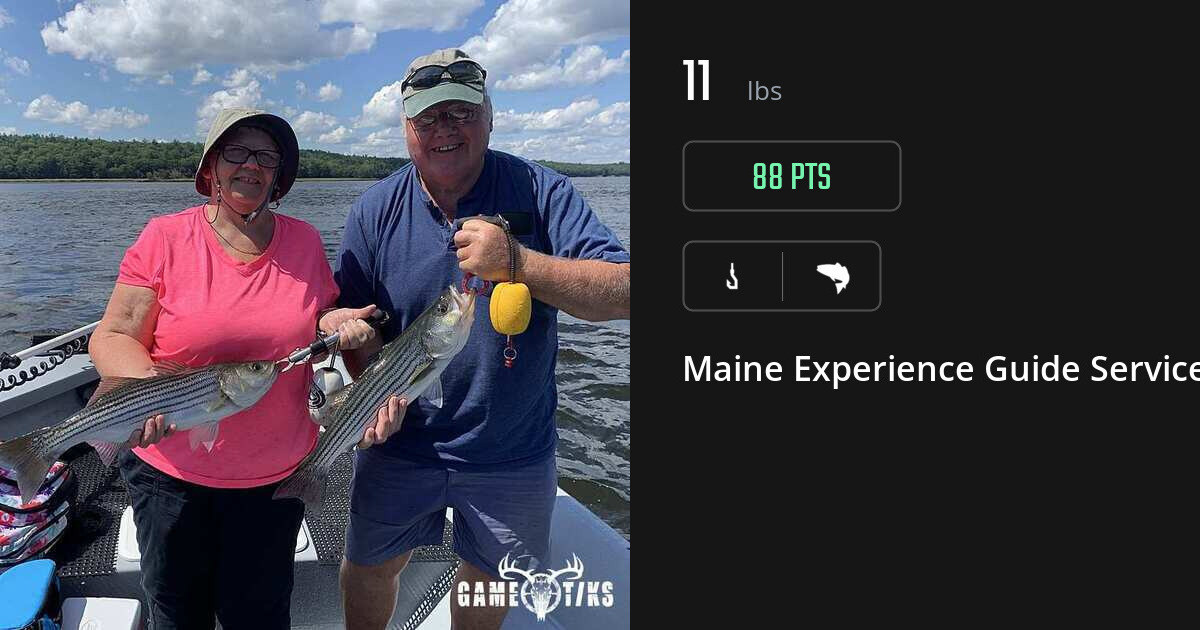 Saltwater fish harvest on Gametiks