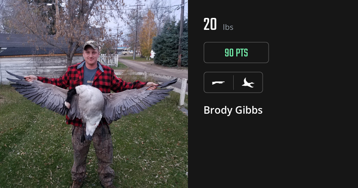 Waterfowl harvest on Gametiks