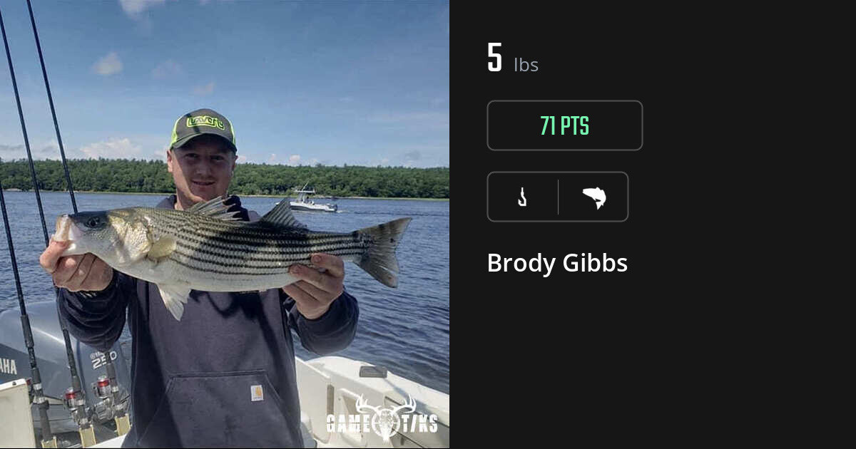 Saltwater fish harvest on Gametiks