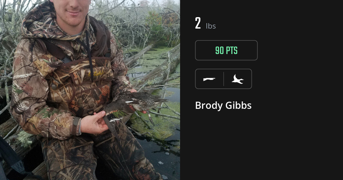 Waterfowl harvest on Gametiks