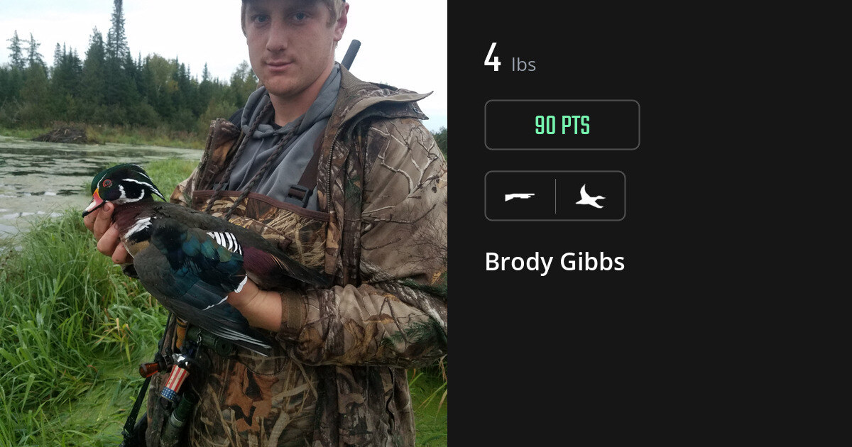 Waterfowl harvest on Gametiks