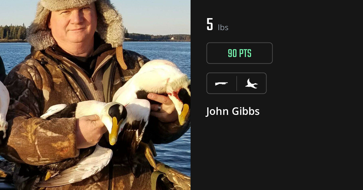 Waterfowl harvest on Gametiks