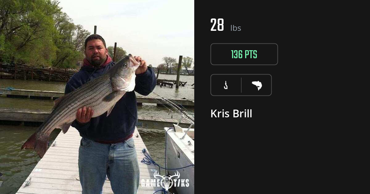 Saltwater fish harvest on Gametiks