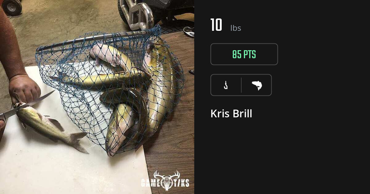 Saltwater fish harvest on Gametiks