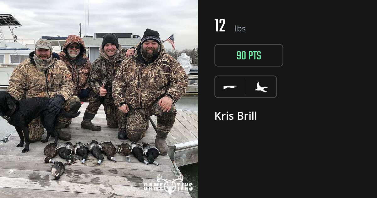 Waterfowl harvest on Gametiks