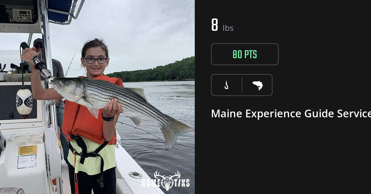 Saltwater fish harvest on Gametiks