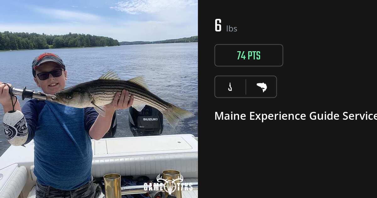 Saltwater fish harvest on Gametiks