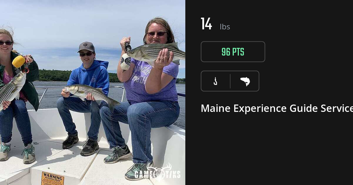 Saltwater fish harvest on Gametiks