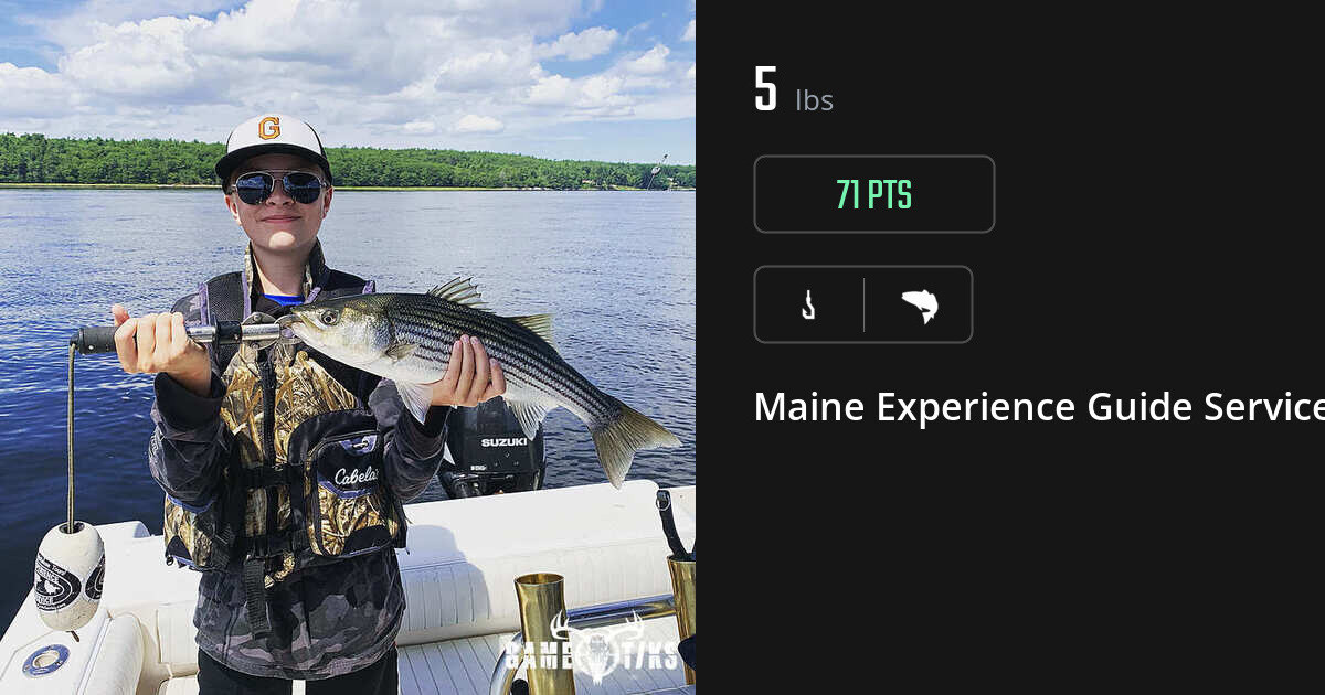 Saltwater fish harvest on Gametiks