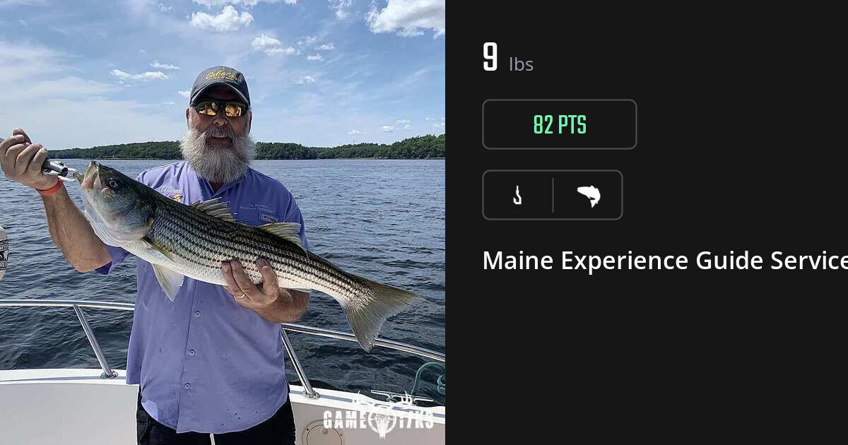 Saltwater fish harvest on Gametiks