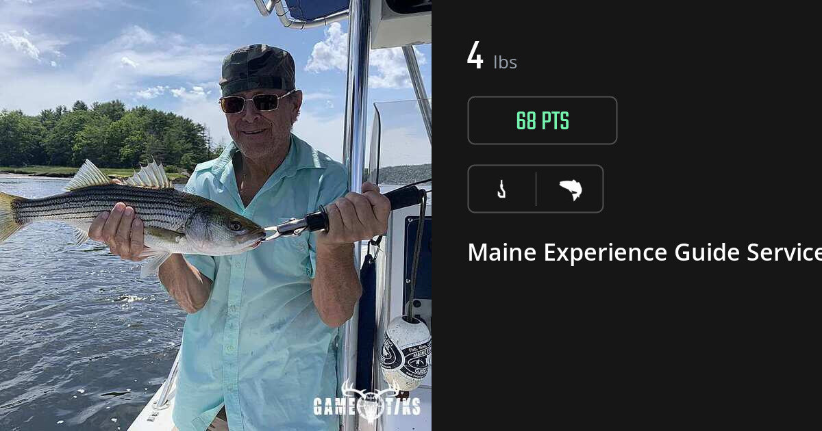 Saltwater fish harvest on Gametiks