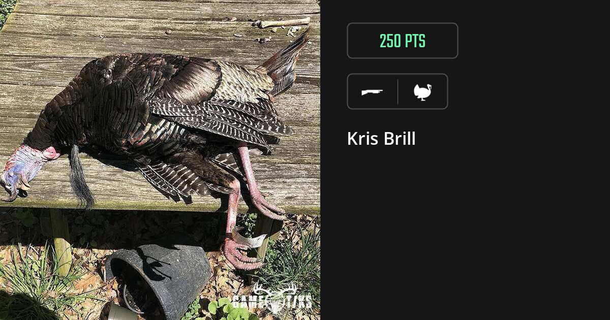 Turkey harvest on Gametiks