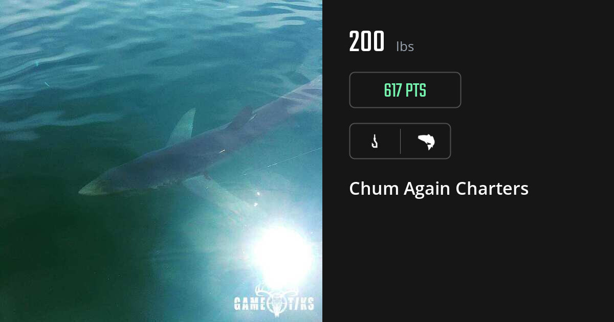 saltwater_fish harvest by Chum Again Charters