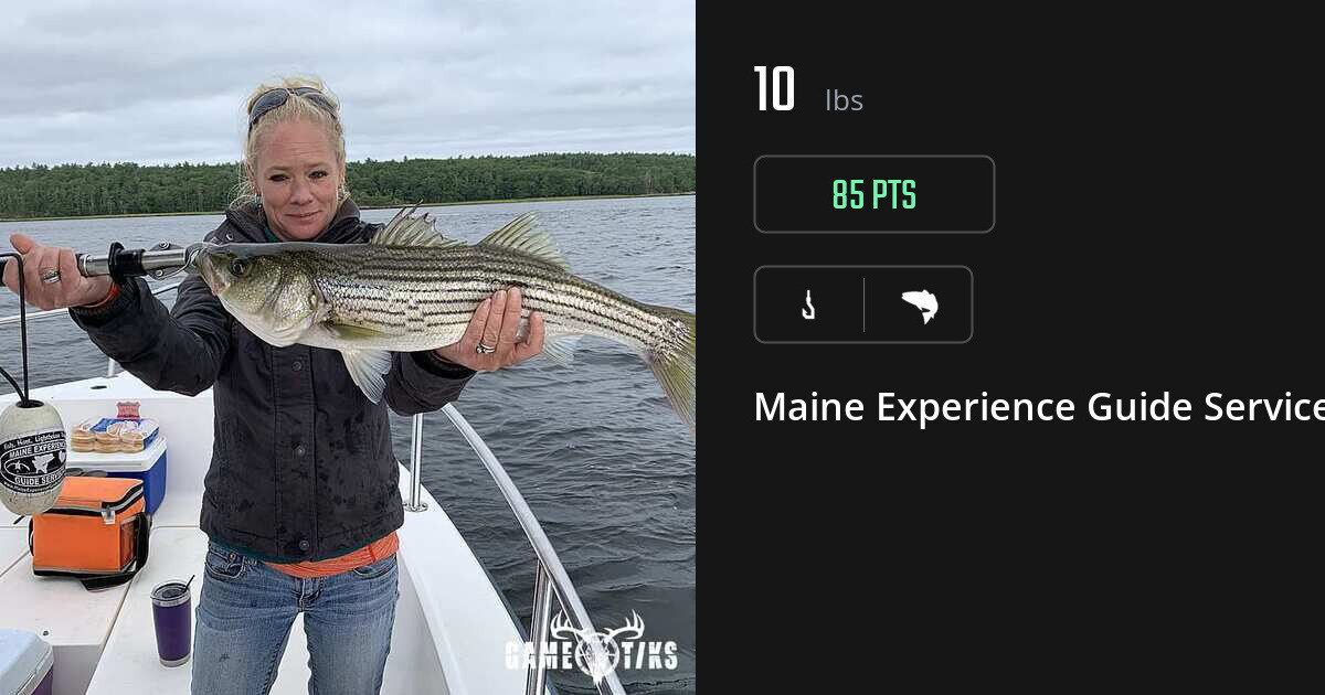 Saltwater fish harvest on Gametiks