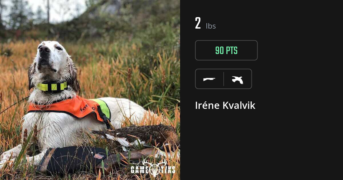 Upland bird harvest on Gametiks