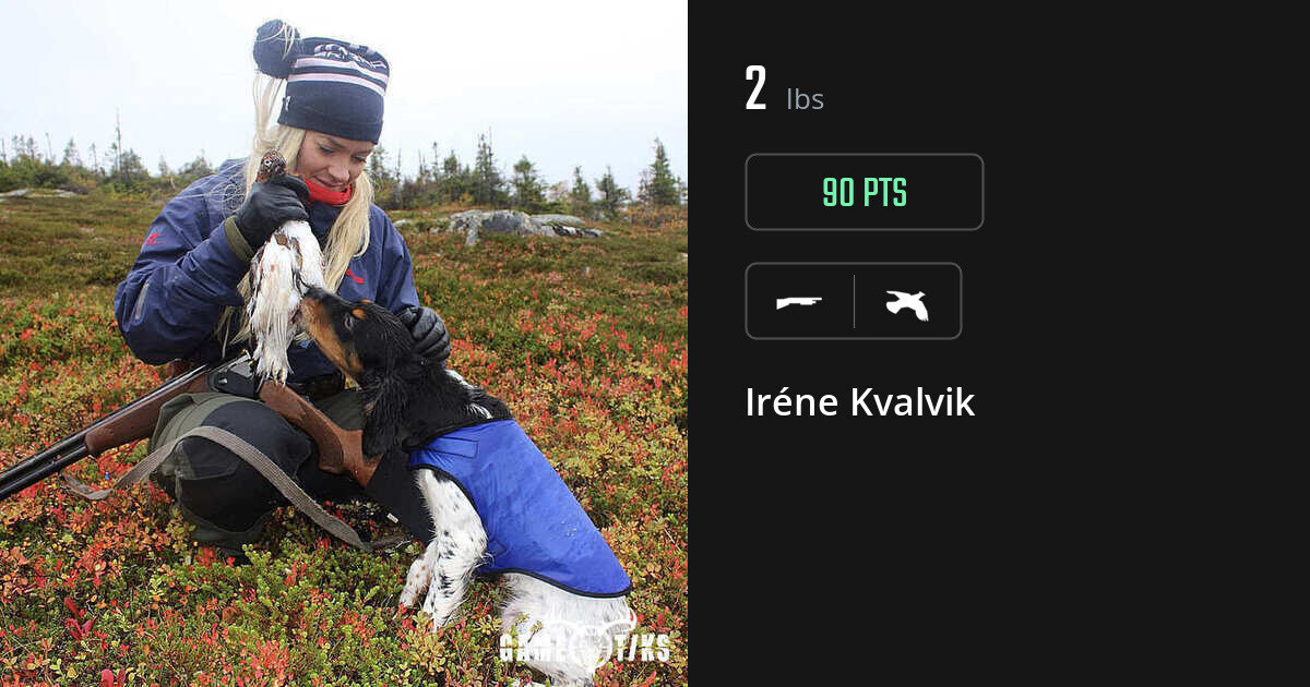 upland_bird harvest by Iréne Kvalvik