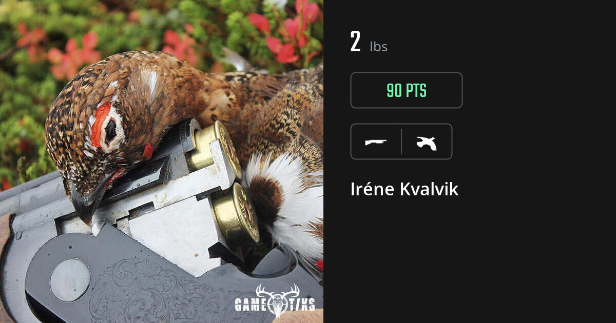 upland_bird harvest by Iréne Kvalvik