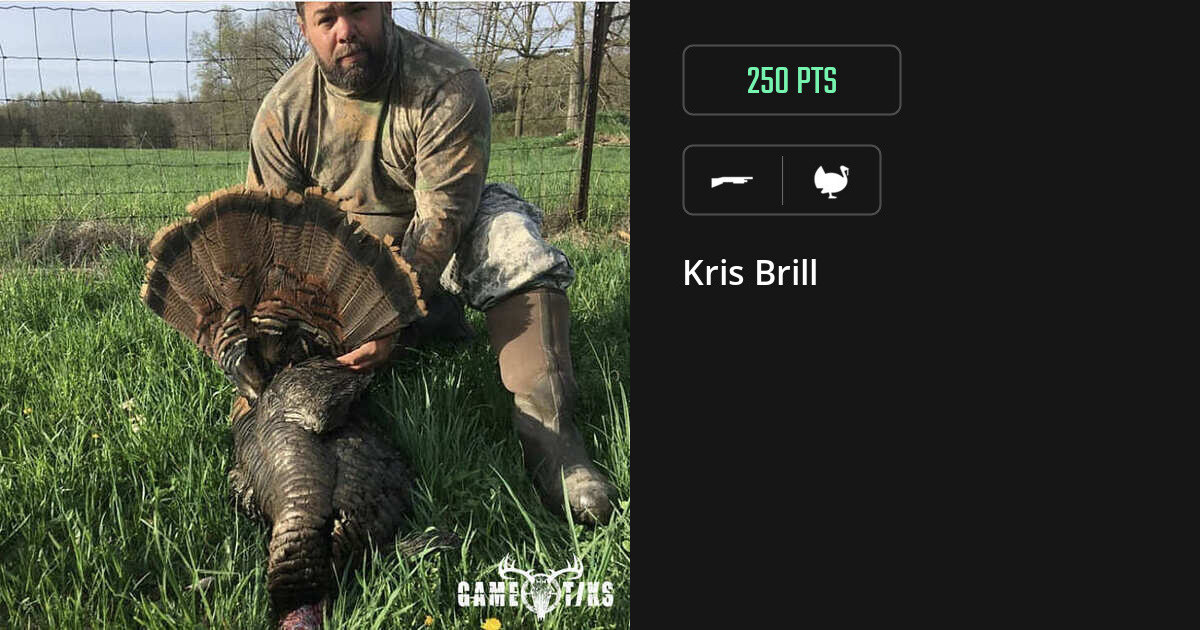 Turkey harvest on Gametiks