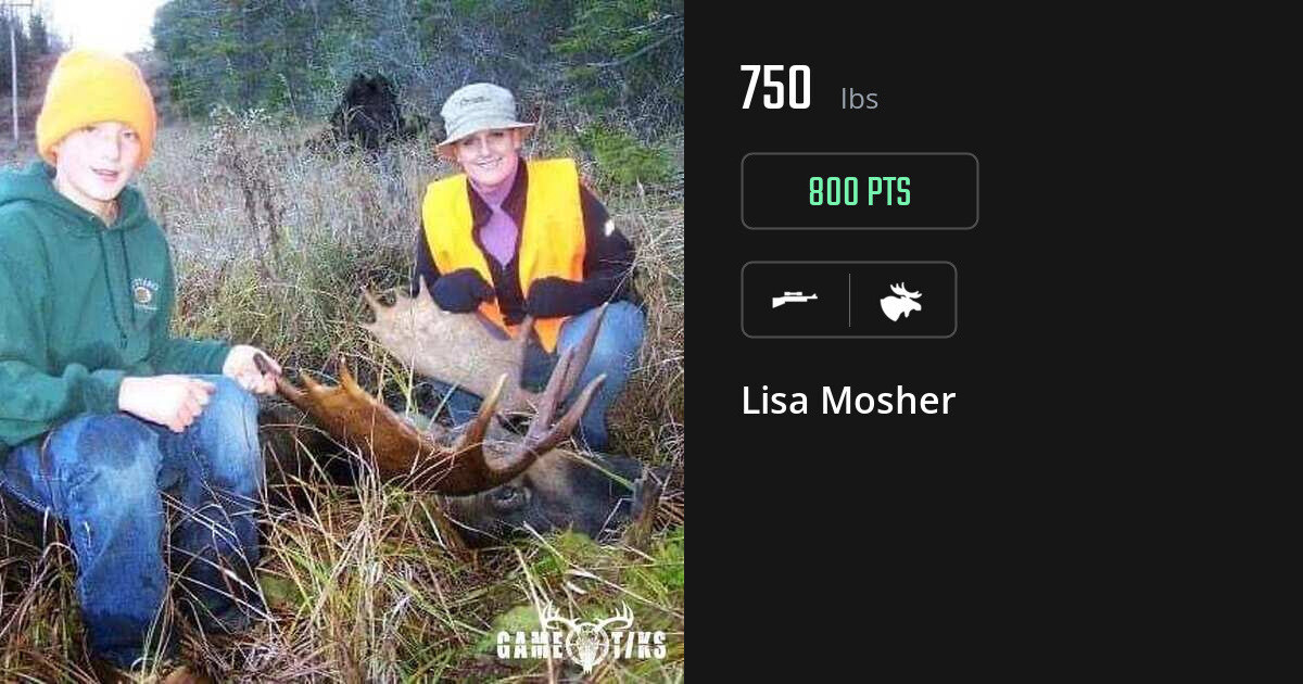 Moose harvest on Gametiks