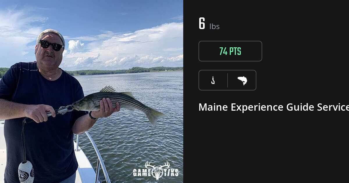 Saltwater fish harvest on Gametiks