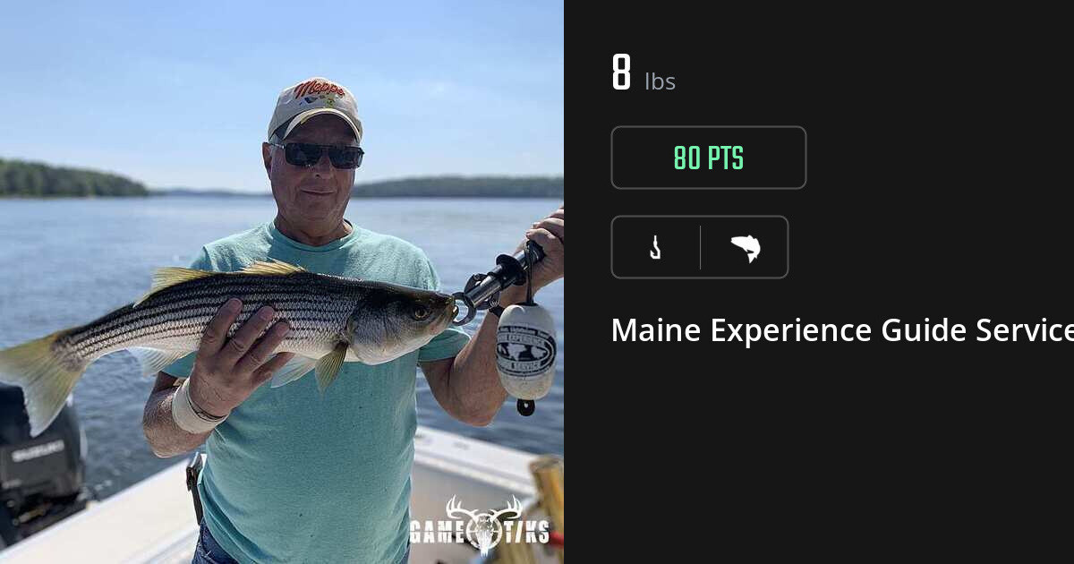 Saltwater fish harvest on Gametiks