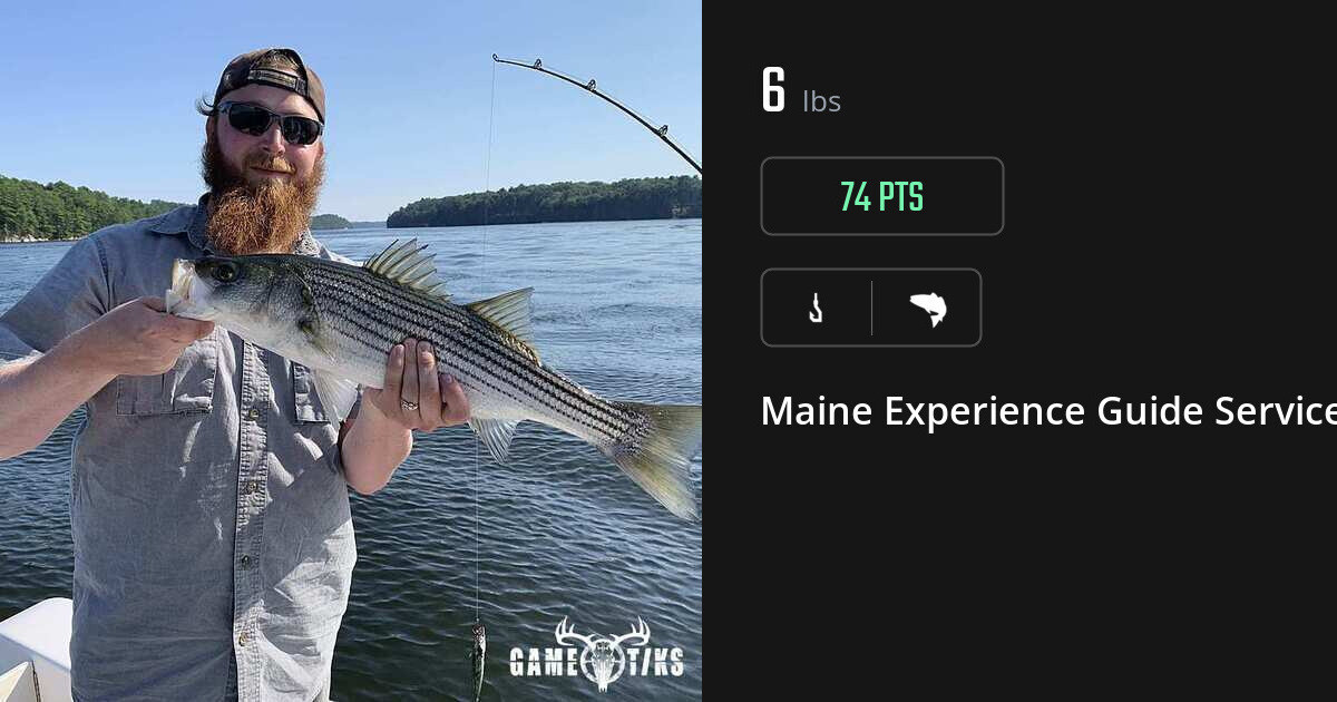 Saltwater fish harvest on Gametiks