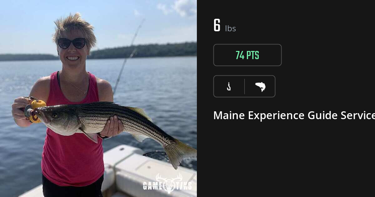 Saltwater fish harvest on Gametiks