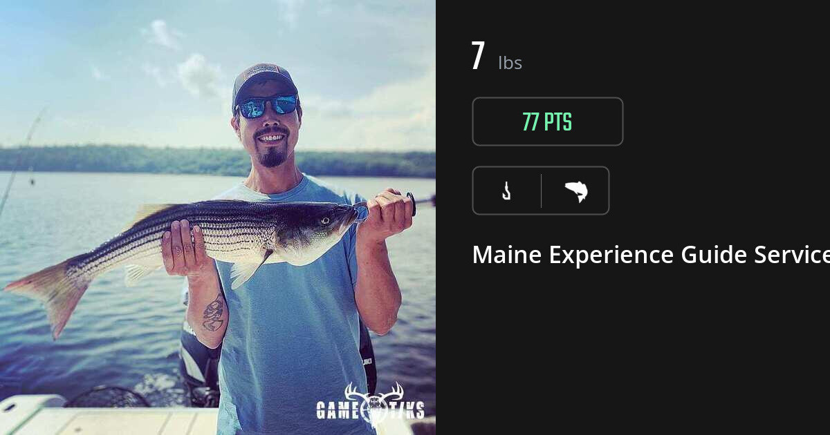 Saltwater fish harvest on Gametiks
