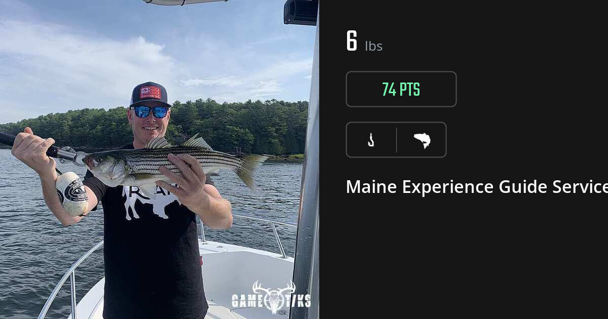Saltwater fish harvest on Gametiks