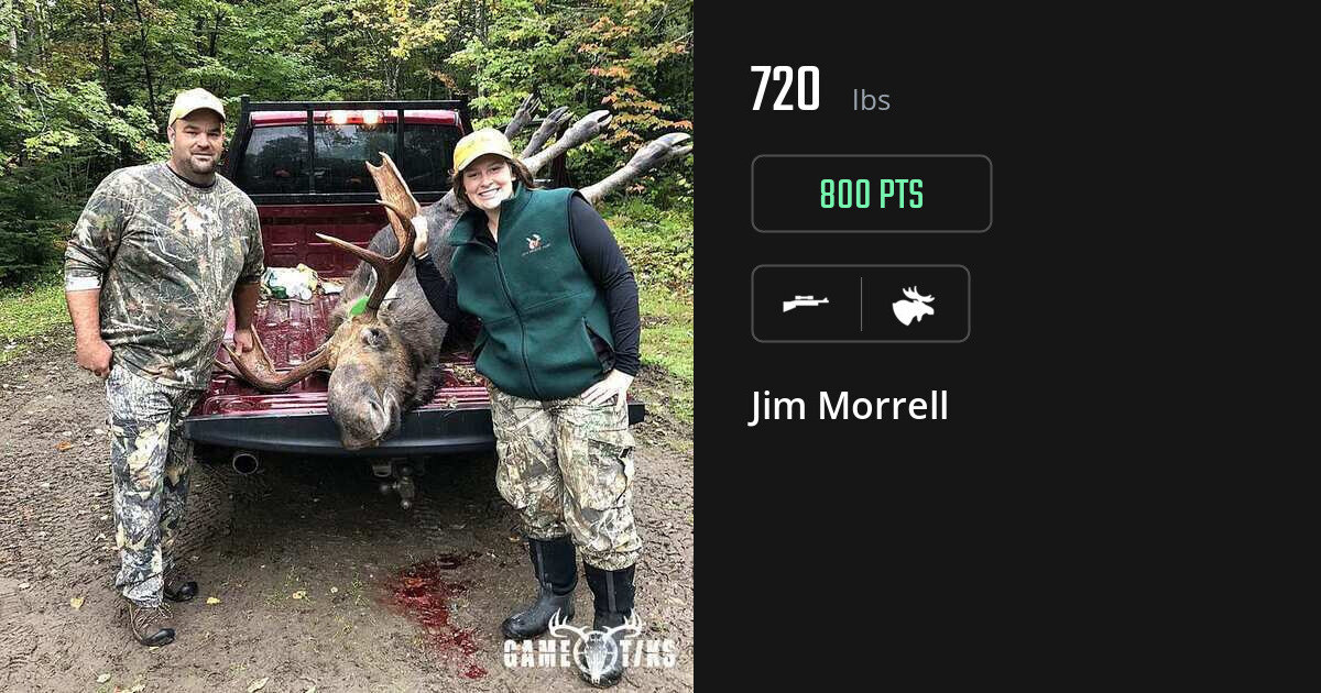 moose harvest by Jim Morrell
