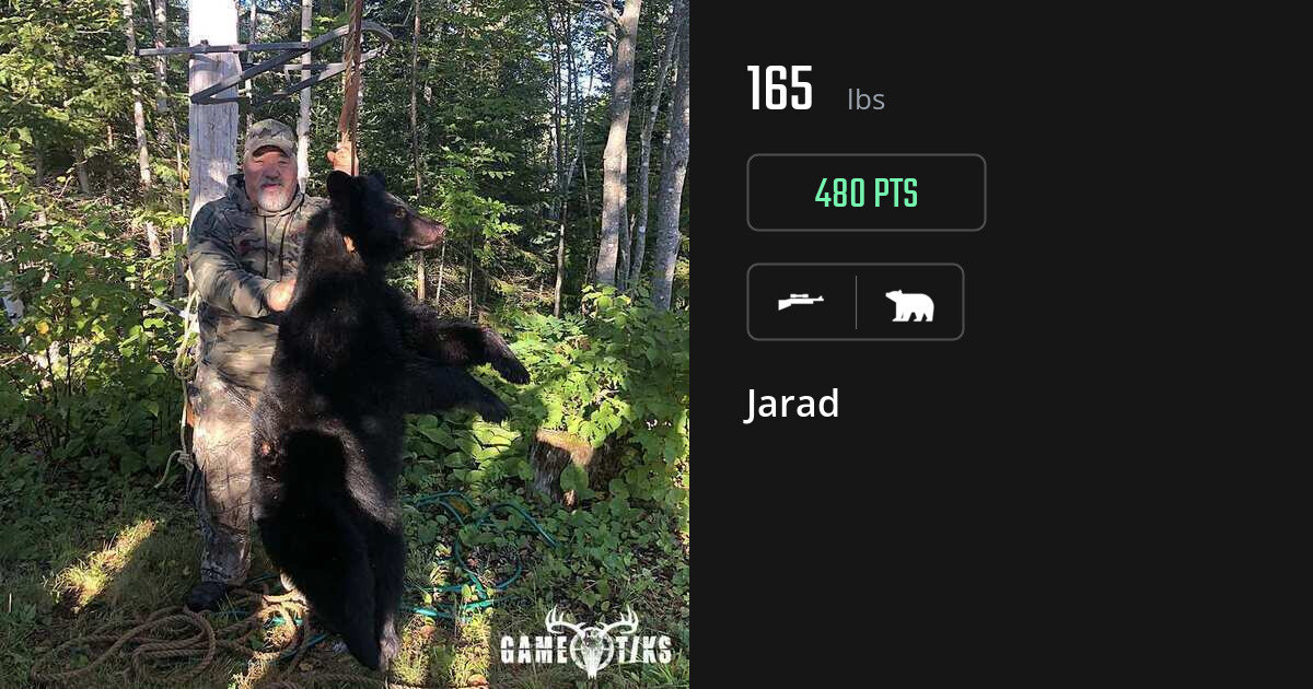 bear harvest by Jarad