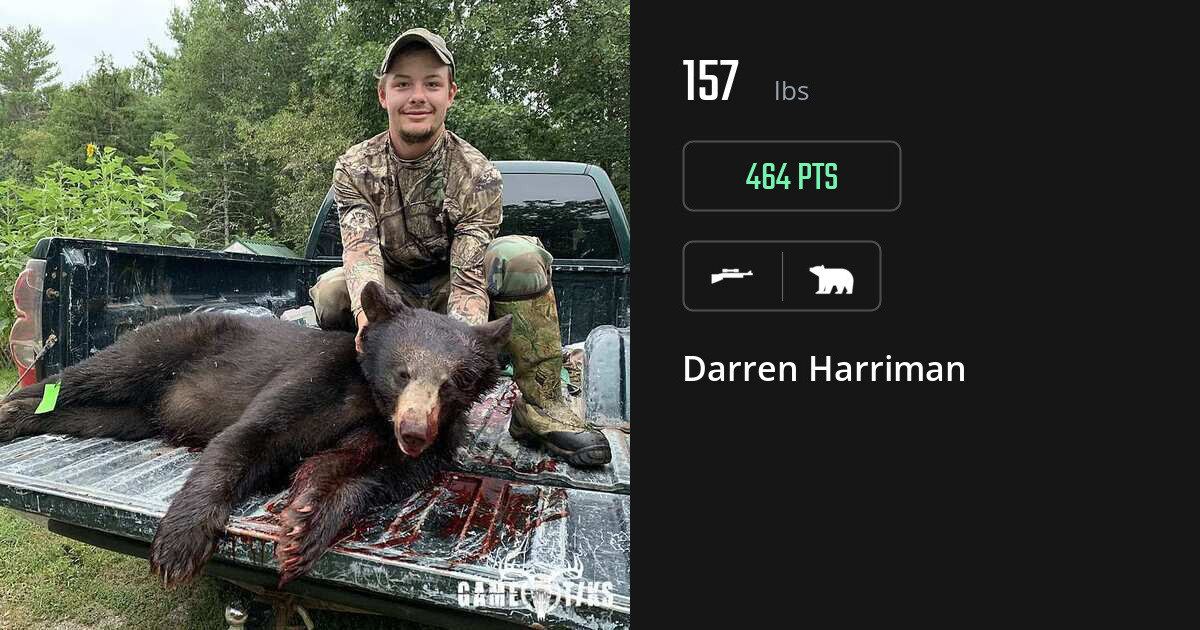 Bear harvest on Gametiks