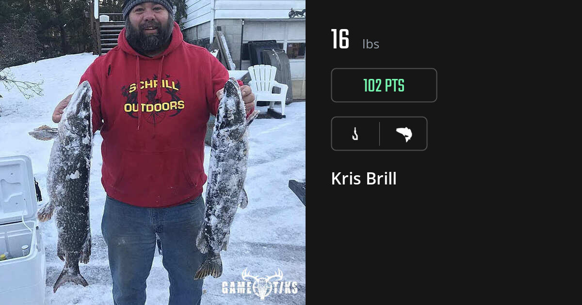 Saltwater fish harvest on Gametiks