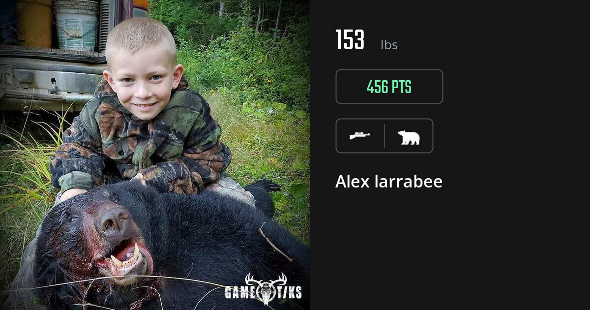 Bear harvest on Gametiks