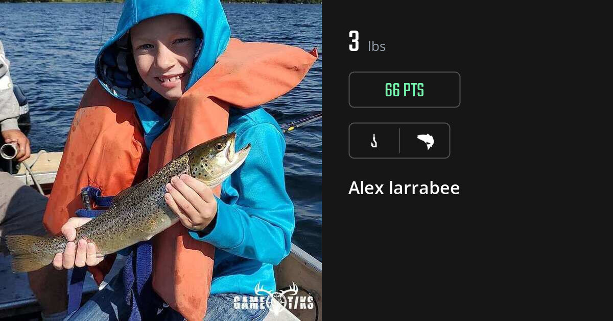 Saltwater fish harvest on Gametiks