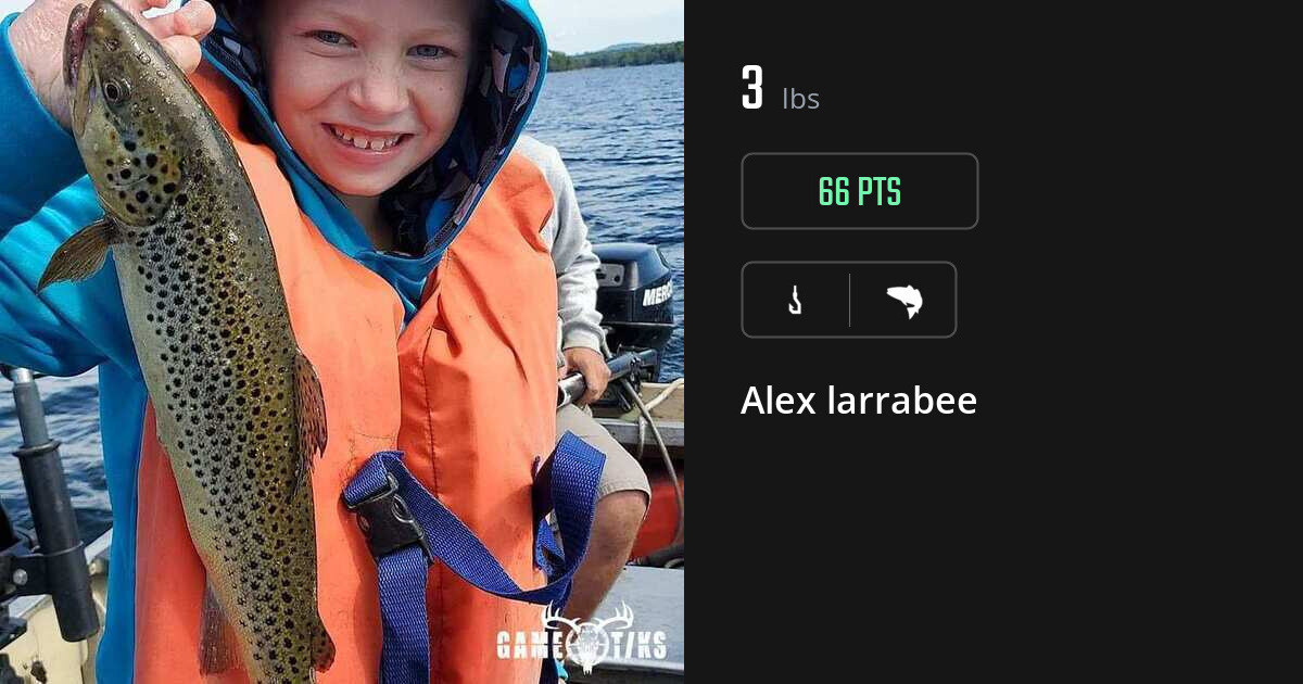 Saltwater fish harvest on Gametiks