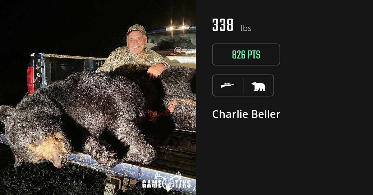 Bear harvest on Gametiks