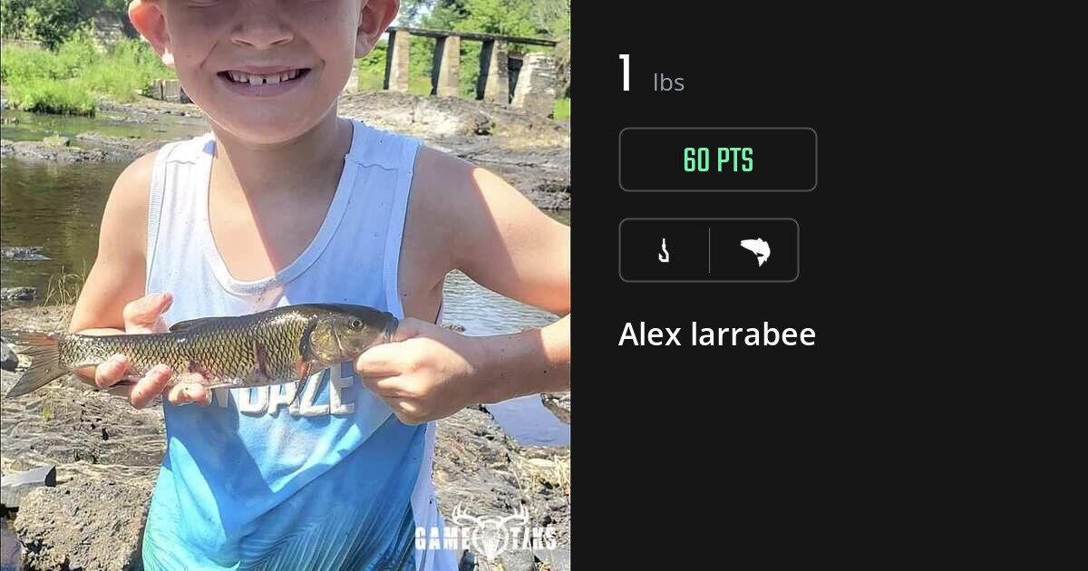 Saltwater fish harvest on Gametiks