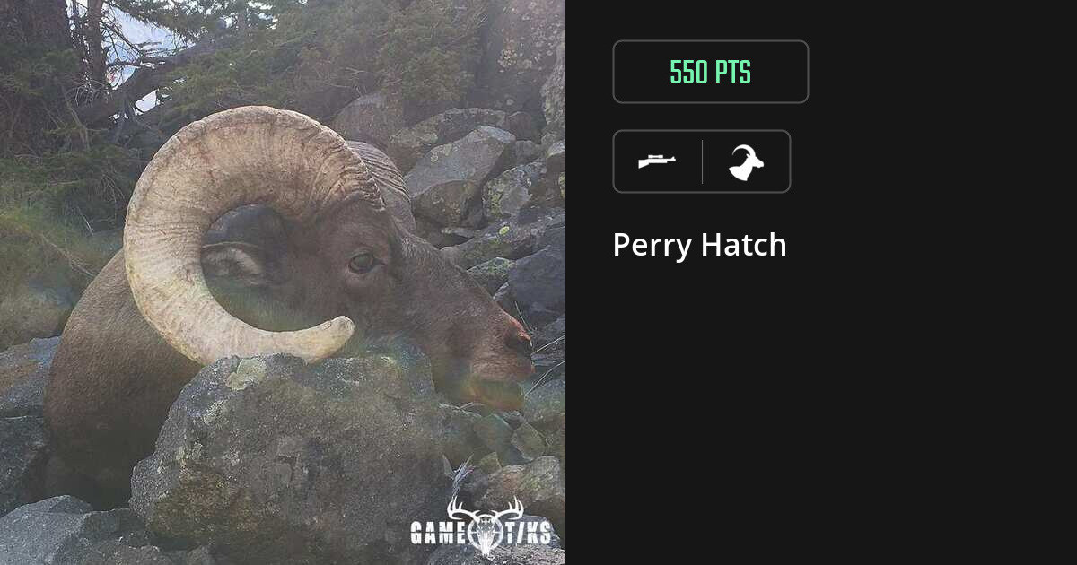 Bovid harvest on Gametiks