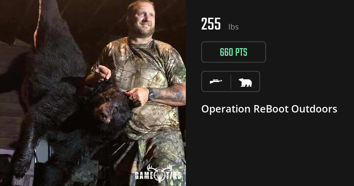 Bear harvest on Gametiks
