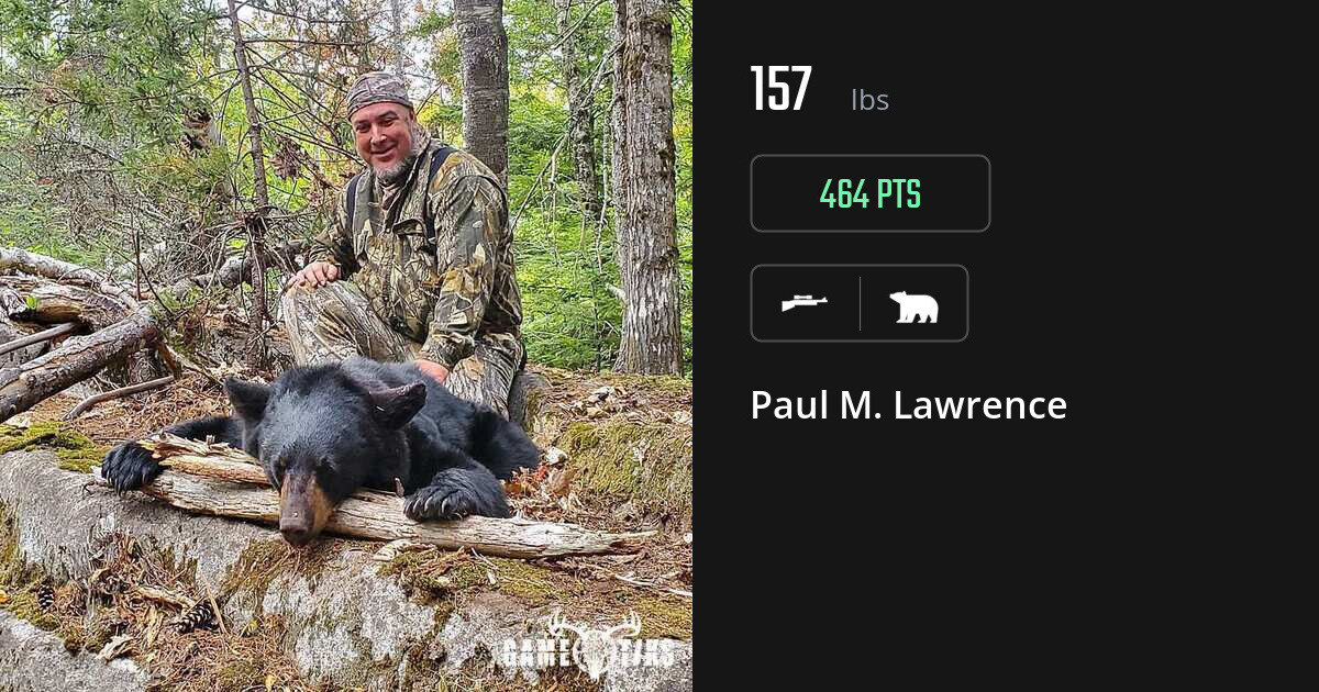 bear harvest by Paul M. Lawrence