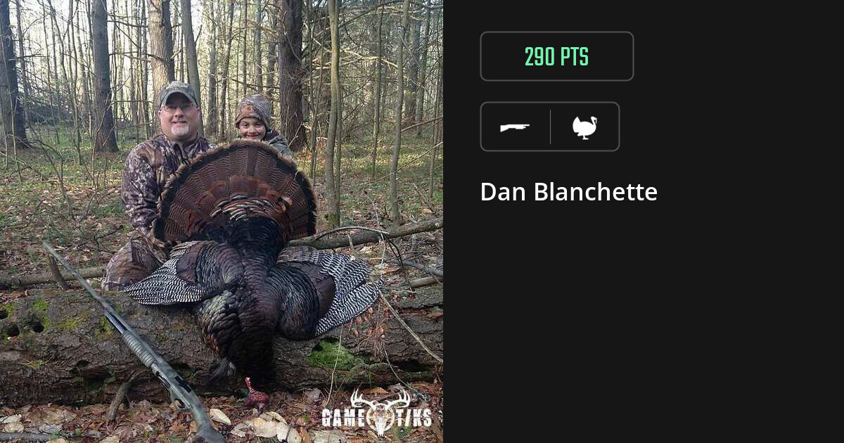 turkey harvest by Dan Blanchette