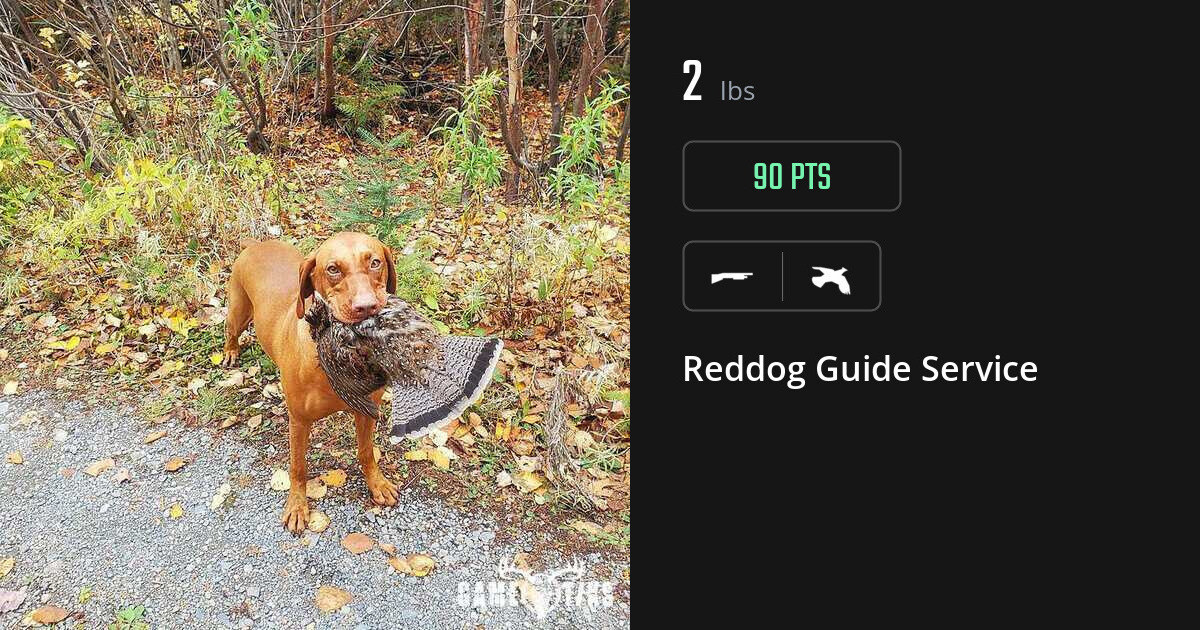 upland_bird harvest by Reddog Guide Service