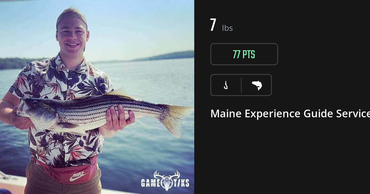 Saltwater fish harvest on Gametiks
