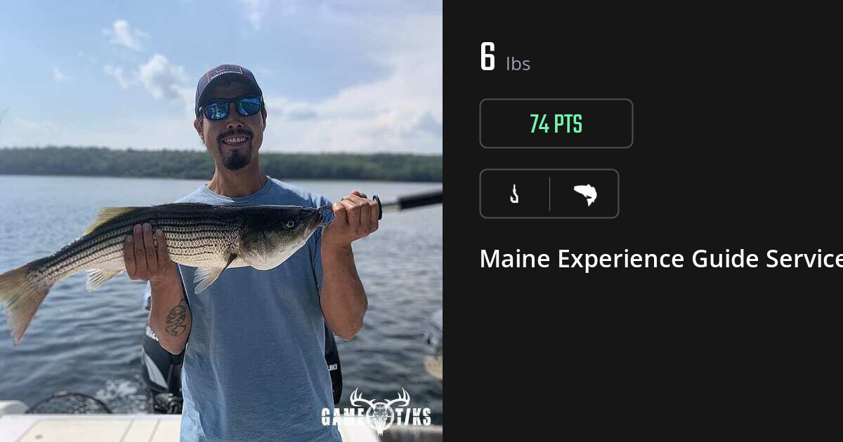 Saltwater fish harvest on Gametiks